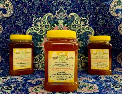 عسل طبیعی امید-سراسر ایران-سراسر ایران-تولید مواد غذایی-بلنگو
