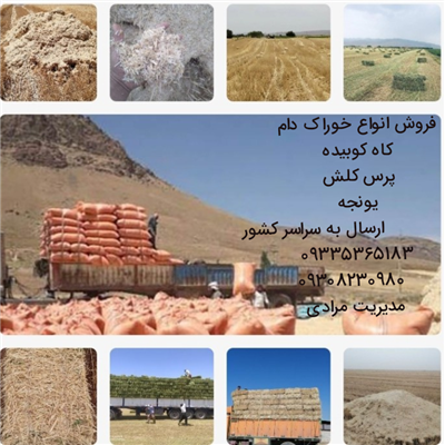 خرید فروش قیمت روز کاه گندم کلش وکاه جو پرس گندم خوراک دام-خوزستان-اهواز-محصولات کشاورزی-بلنگو
