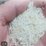 برنج ایرانی خوش پخت