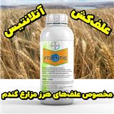 فروش عمده علف‌کش Atlantis؛ کیفیت بالا و قیمت مناسب برای گندم