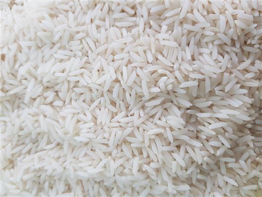 #برنج دم سیاه محلی یکدست و خالص-سراسر ایران-سراسر ایران-محصولات کشاورزی-بلنگو