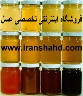 فروشگاه تخصصی عسل و فراورده های دارویی زنبور-گلستان-گرگان-فروشگاه های اینترنتی-بلنگو