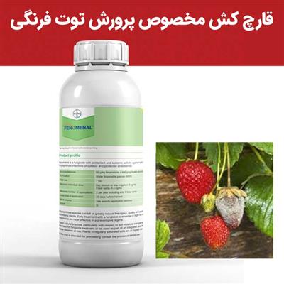 خرید سم قارچ‌کش Fenomenal، بهترین انتخاب برای جلوگیری از آفات توت‌فرنگی-سراسر ایران-سراسر ایران-کود و سم-بلنگو