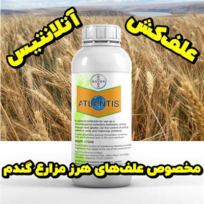 فروش عمده علف‌کش Atlantis؛ کیفیت بالا و قیمت مناسب برای گندم-سراسر ایران-سراسر ایران-کود و سم-بلنگو