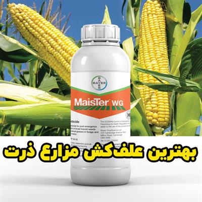 خرید بهترین علف‌کش خارجی برای ذرت دانه ای و ذرت علوفه ای، سم مایستر دبلیوجی-سراسر ایران-سراسر ایران-کود و سم-بلنگو