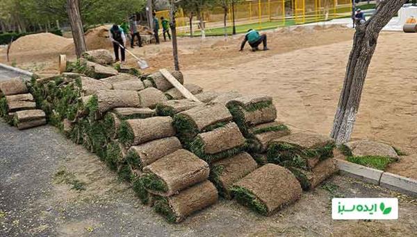فروش چمن رولی با کیفیت-تهران-تهران-فضای سبز-بلنگو